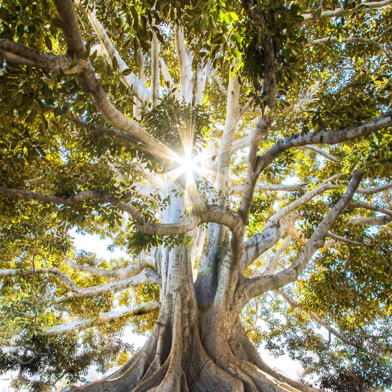 01_jeremy-bishop-EwKXn5CapA4-unsplash_cut_verzerrt_800px